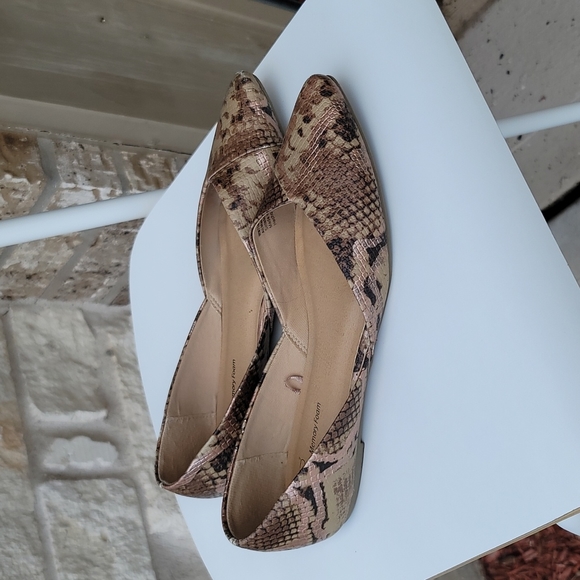 snakeskin - Picture 5 of 12